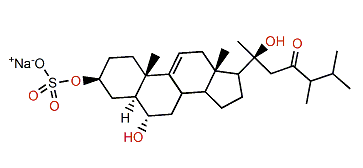 3-O-Sulfothornasterol B